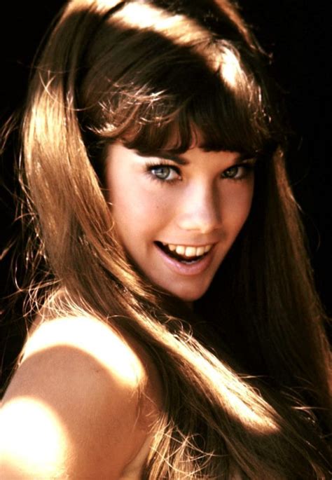 barbi benton hot|30 Photos Of Barbi Benton In The 1970s And 80s